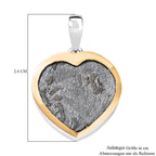 D'Joy Muonionalusta Meteorit Anhänger 925 Silber Rhodiniert und 750 Gelbgold Vermeil ca. 19.50 ct