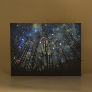 LIVMORE Wald Motiv LED Wandbild mit Glasfaser Lichteffekt 30 x 40 cm