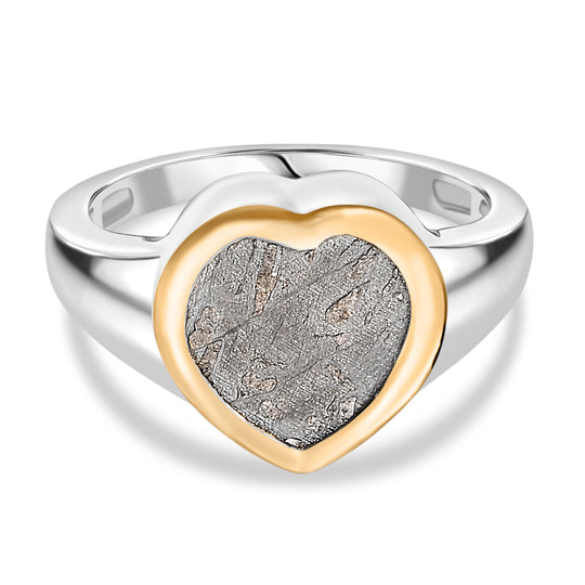 D'Joy Muonionalusta Meteorit Ring 925 Silber Rhodiniert und 750 Gelbgold Vermeil (Größe 19.00) ca. 8.16 ct