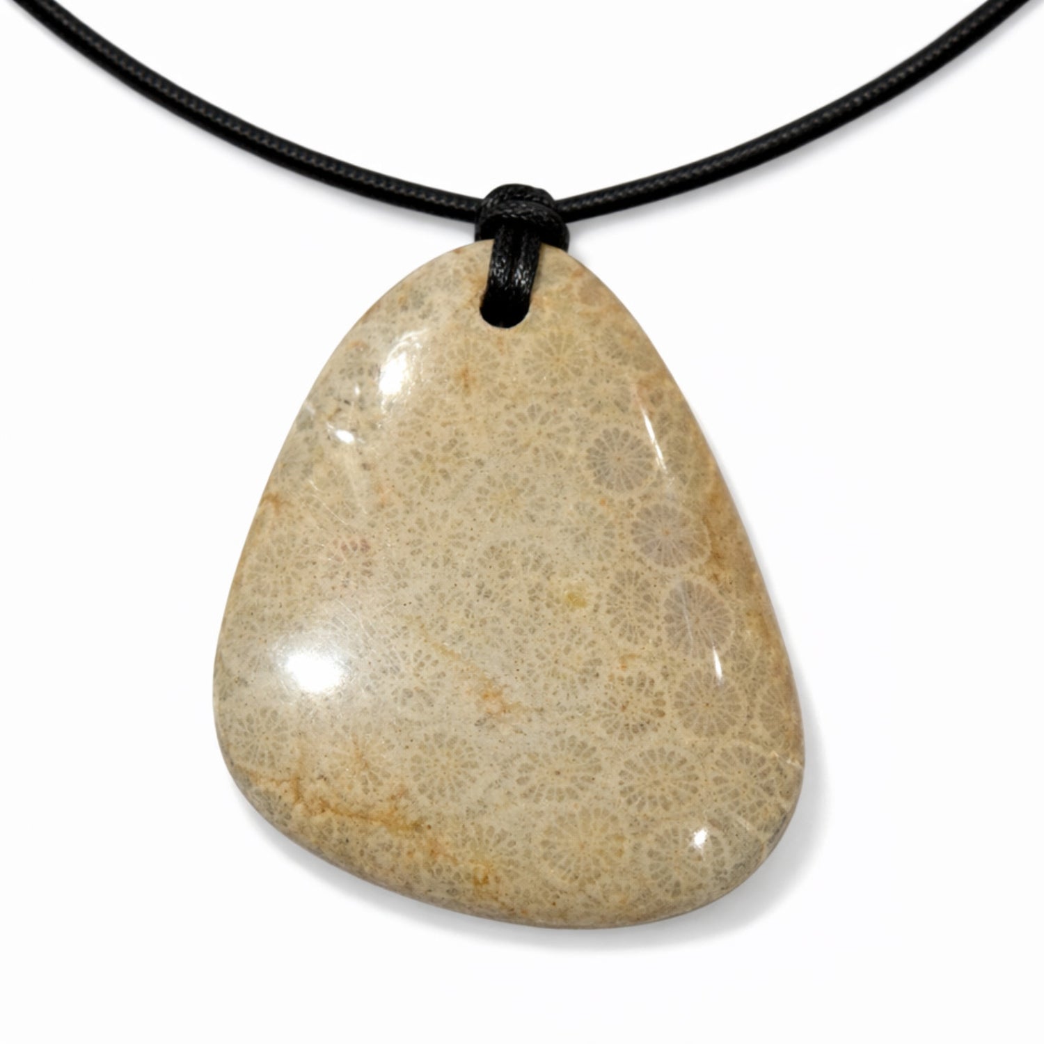 Fossiler Jaspis Anhänger ca. 65,00 ct.