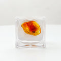 Natürlicher Baltischer Bernstein mit Insekt und magnifying Lupe Box, Cabochon Fancy Schliff, Gelb
