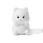 Katze