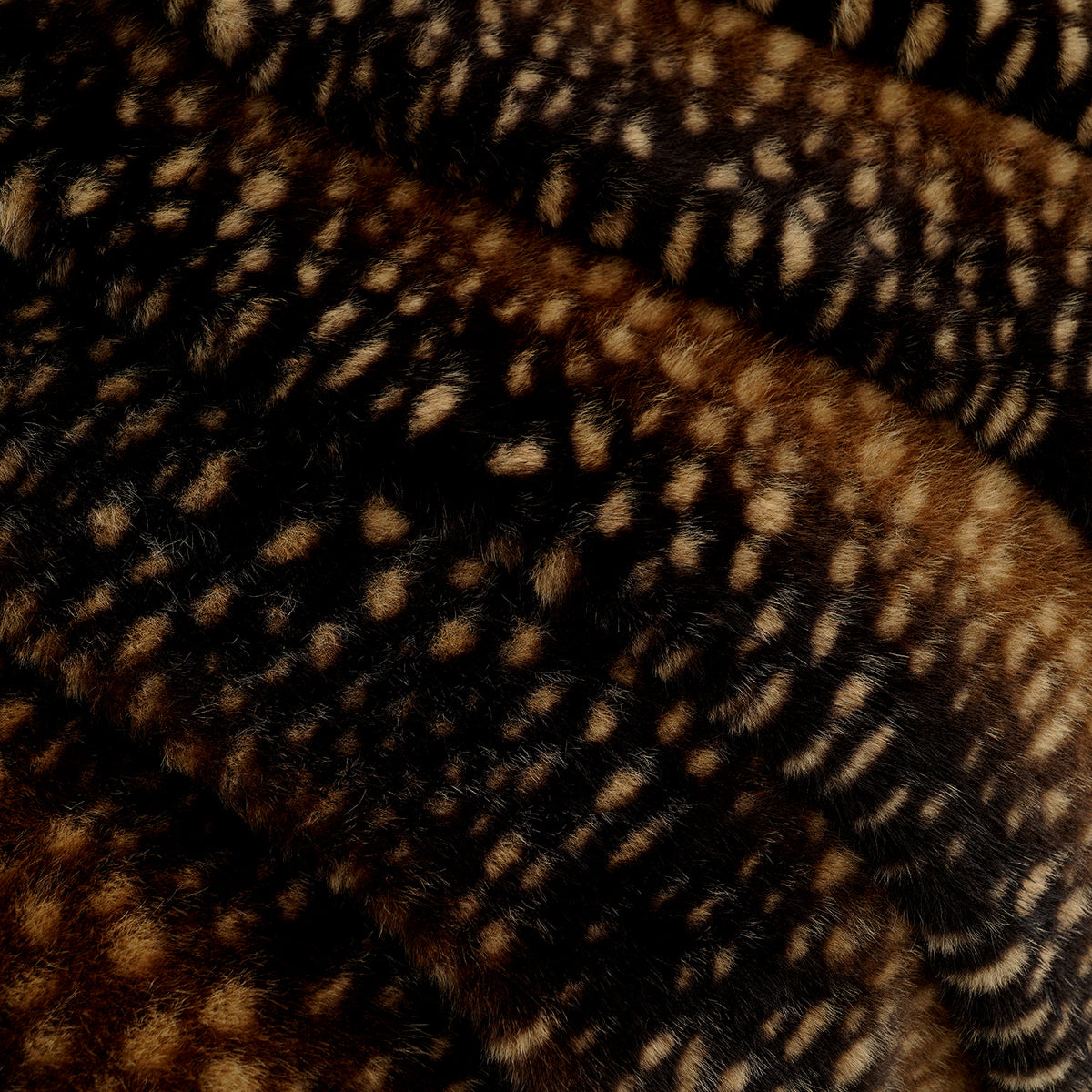 Braun