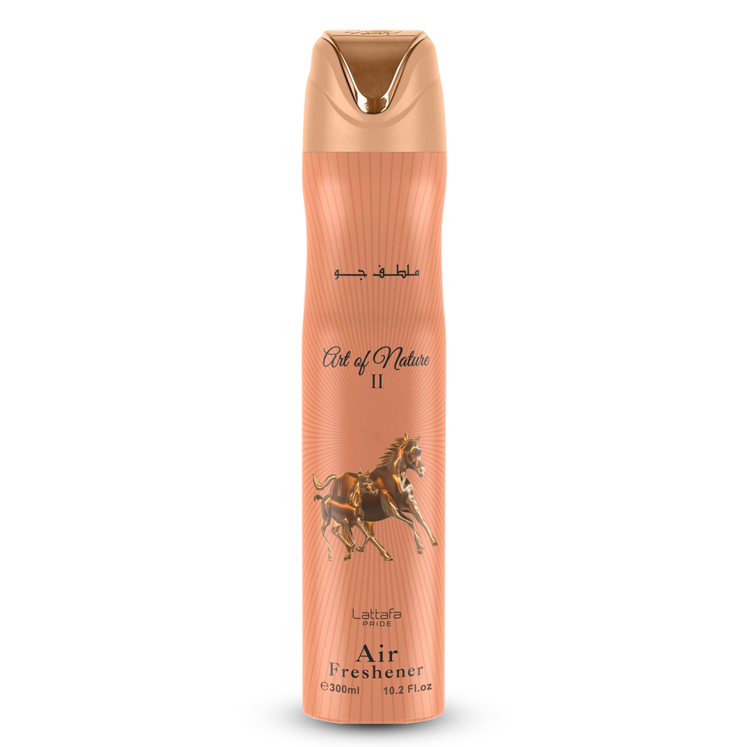 Air Freshener Art of Nature ll 300 ml