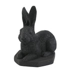 Rabbit Shungite Figurine 3.25x4.25 (7-8 Werktage Lieferzeit)