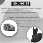 Rabbit Shungite Figurine 3.25x4.25 (7-8 Werktage Lieferzeit)