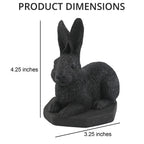 Rabbit Shungite Figurine 3.25x4.25 (7-8 Werktage Lieferzeit)