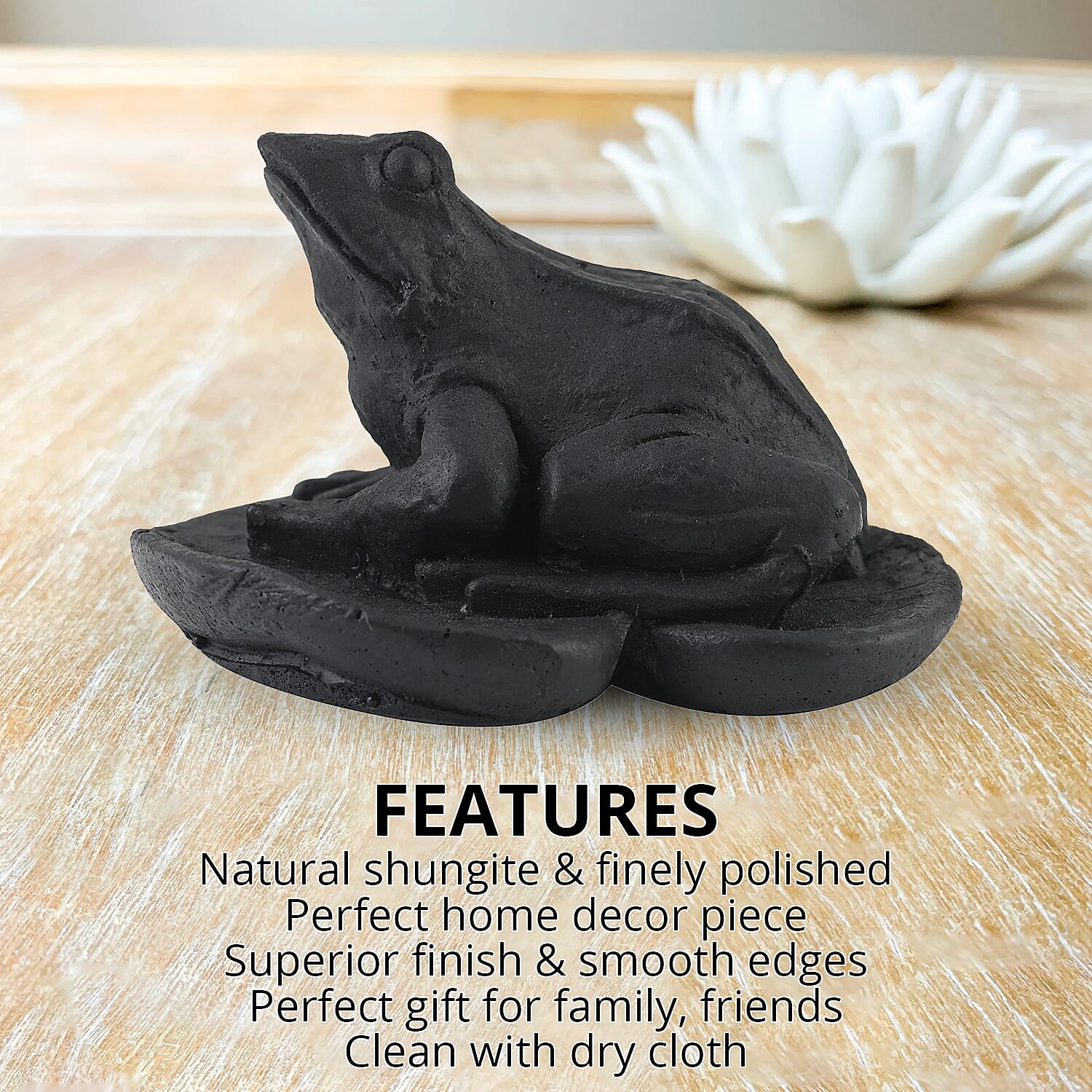 Frog on a Leaf Shungite Figurine 1.5x1.75 Approx. 335.00ctw (7-8 Werktage Lieferzeit)