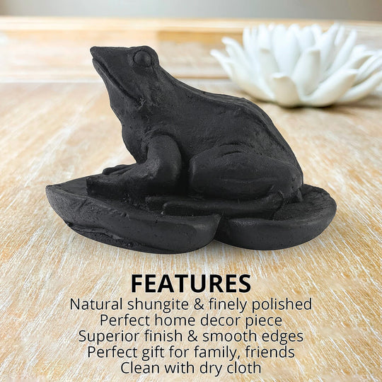 Frog on a Leaf Shungite Figurine 1.5x1.75 Approx. 335.00ctw (7-8 Werktage Lieferzeit)