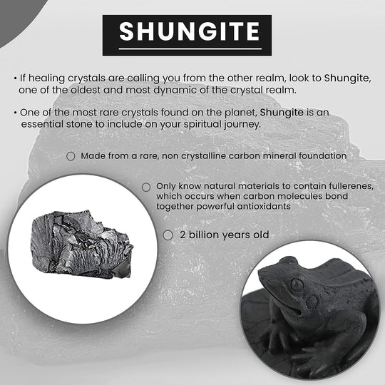 Frog on a Leaf Shungite Figurine 1.5x1.75 Approx. 335.00ctw (7-8 Werktage Lieferzeit)