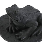 Frog on a Leaf Shungite Figurine 1.5x1.75 Approx. 335.00ctw (7-8 Werktage Lieferzeit)