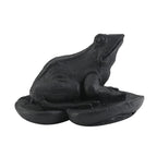 Frog on a Leaf Shungite Figurine 1.5x1.75 Approx. 335.00ctw (7-8 Werktage Lieferzeit)