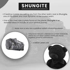 Teddy Bear Shungite Figurine 2.5x1.25 (7-8 Werktage Lieferzeit)