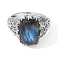 EVER TRUE AAA Labradorit Ring Reine Bronze (Größe 16.00) ca. 7,90 ct