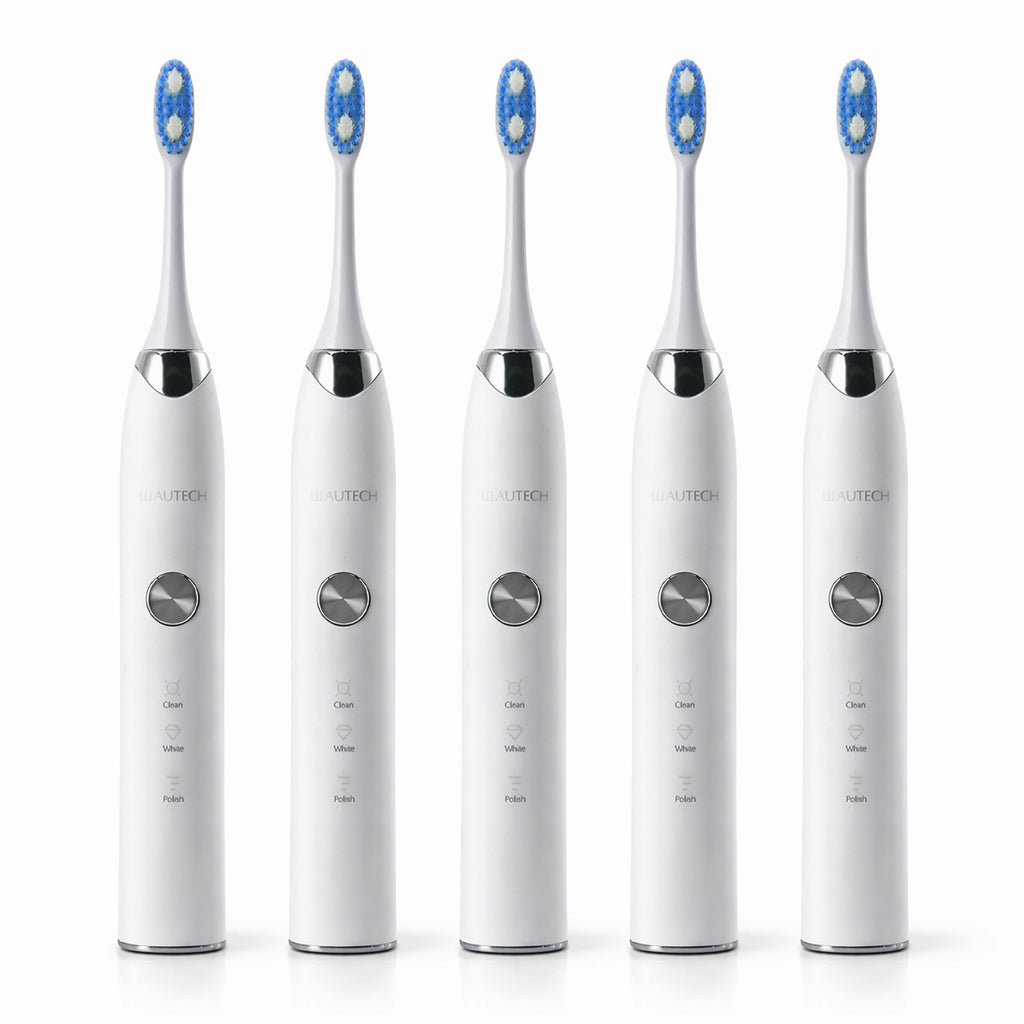 BEAUTECH 5er-Set Elektronische Schallzahnbürste mit 2 Bürstenköpfen, Wasserdicht IPX7, USB-Kabel, 5 Modi